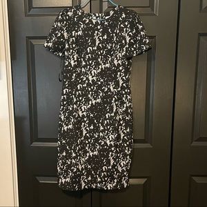 Size 8 Calvin Klein Black and White Dress